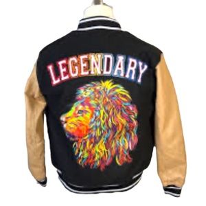 Varsity bomber jacket by Switch . Large graphic‎ lion . Unisex  sz XL youth